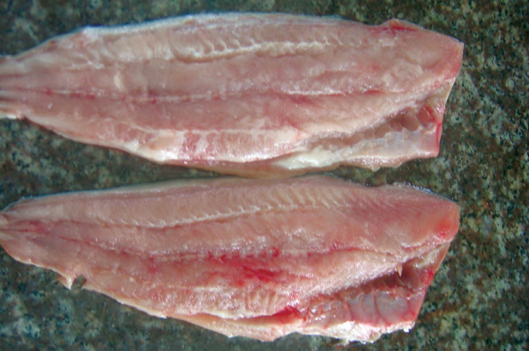 Article image for Sensory analysis evaluates pangasius fillet quality