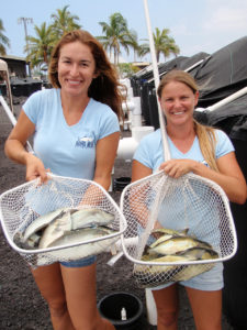 Novel soy proteins, oils replace fishmeal to achieve FIFO under 1:1 in amberjack
