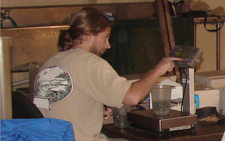 Article image for Shrimp sampling method improves stocking process