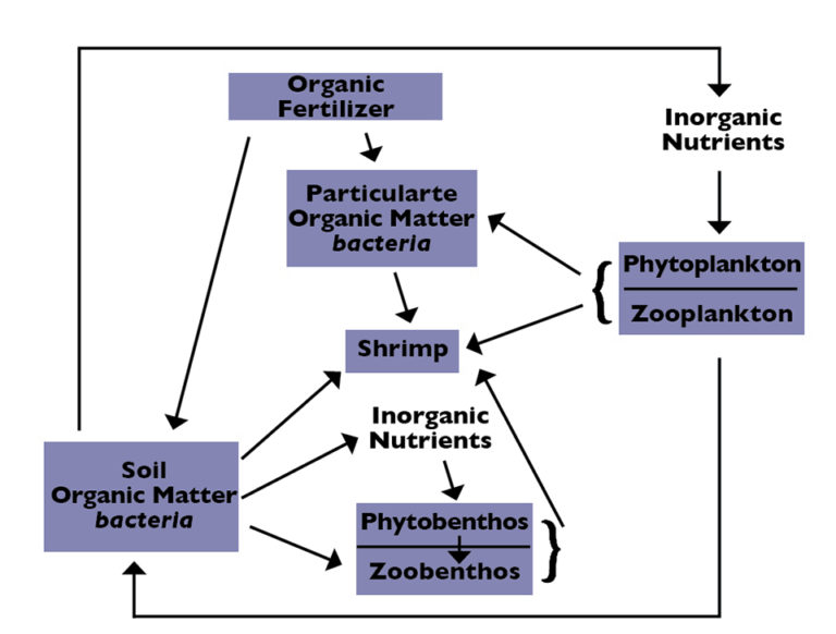 Article image for Organic matter for pond fertilizer