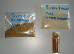 Fat components, energy in poultry byproduct meal provide valuable nutrients to shrimp