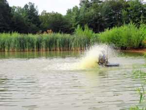 Biofloc technology options for aquaculture