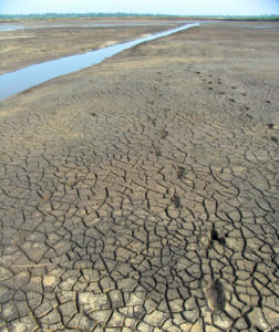 Drying, liming, other treatments disinfect pond bottoms