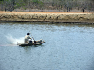 Oxidants enhance water quality