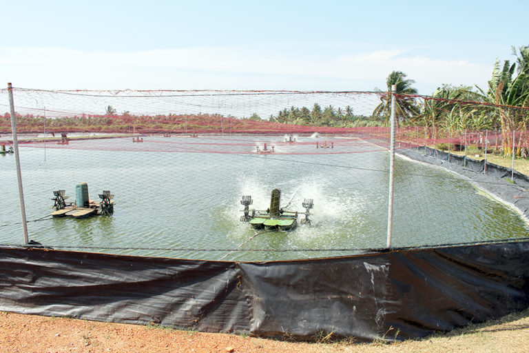 Article image for Biosecurity: Not just a word