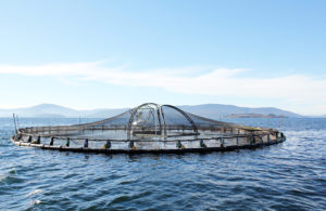 Legal issues affect offshore aquaculture development