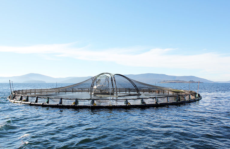 Article image for Legal issues affect offshore aquaculture development