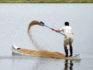Changing the aquafeed paradigm