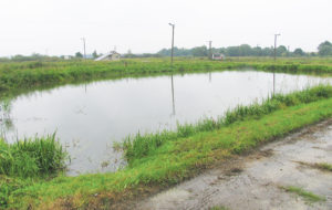 Defining ranges for water quality variables presents complex, challenging process