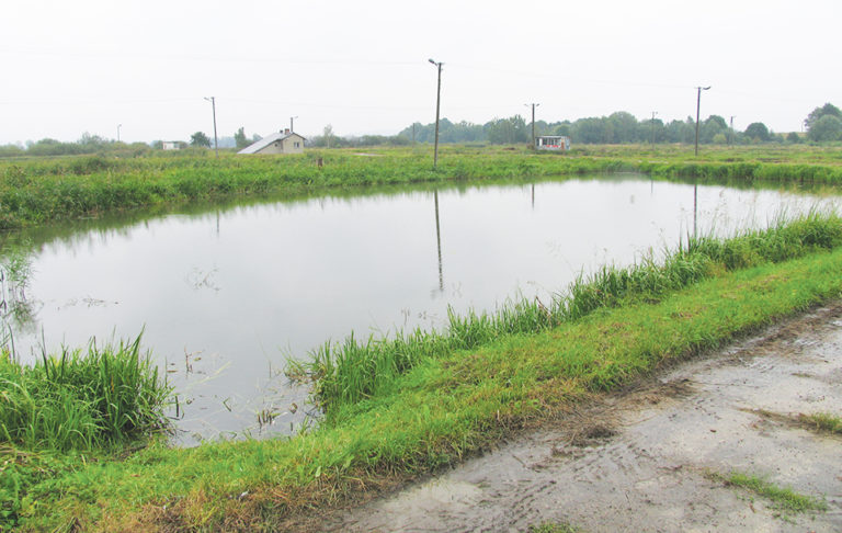 Article image for Defining ranges for water quality variables presents complex, challenging process