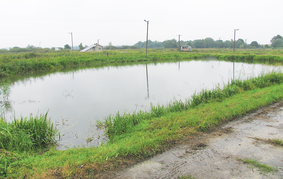 Article image for Defining ranges for water quality variables presents complex, challenging process