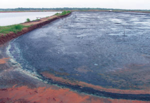 Pond bottom dry-out and liming, part 2