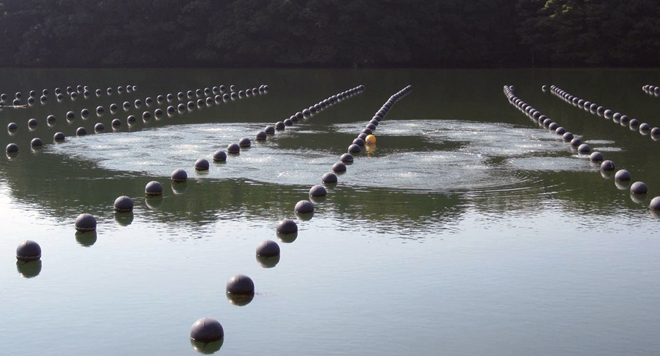 Article image for Artificial upwelling maintains favorable summer environment for farmed oysters