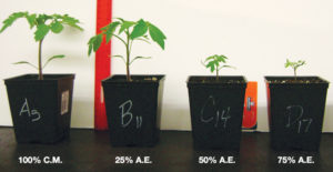 Aquaculture effluent partially replaces growing mix for plant production