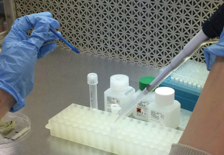 Article image for Real-time PCR offers sensitivity, specificity in detecting AHPND plasmid