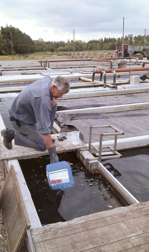 Article image for Peracetic acid products expand sanitizing, organic water treatment options
