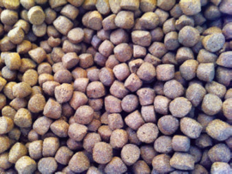 The AAFFD will enable the formulation of cost-effective and nutritive feeds for a wide variety of Asian aquaculture species under a broad range of conditions.