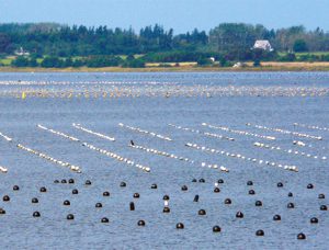 Aquaculture in Canada: status, perspectives