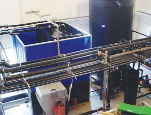 Estimating biofilter size for RAS systems