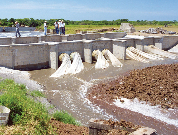 Vibrio control