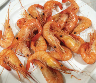 Shrimp salad