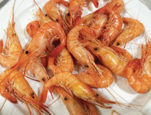 Warning: Shrimp salad may contain shrimp