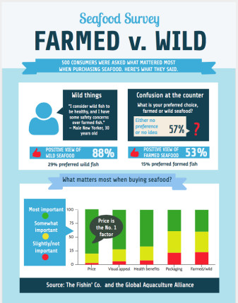 Consumer Survey Infographic
