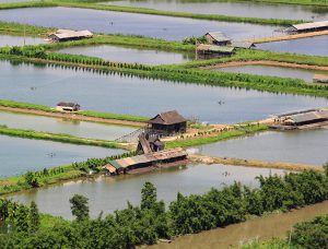 Aquaculture certification steers to zone management