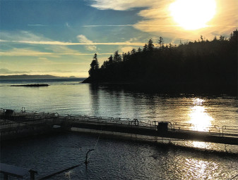 salmon farmers