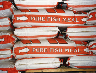 fishmeal 