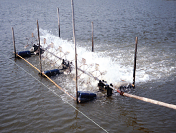 Article image for Efficiency of mechanical aeration