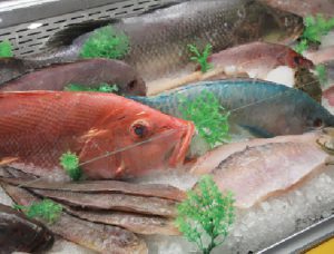 Food is abundant, yet people are starving