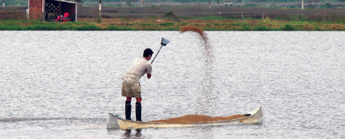 water quality