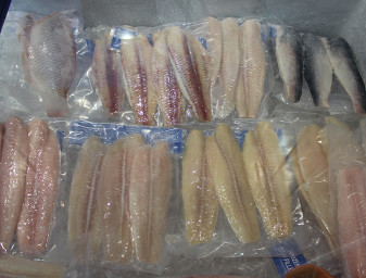 Vietnam is estimated to experience a drop in pangasius production from 1.1 million metric tons in 2014 to 1.0 MMT in 2015.