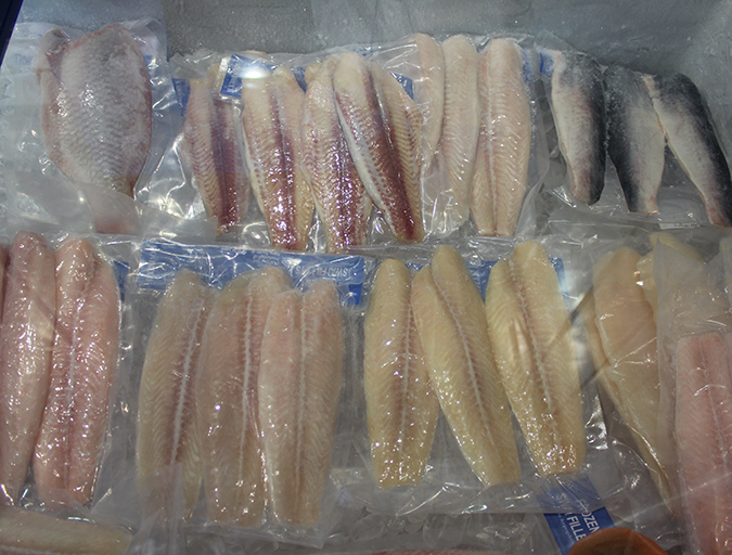 Article image for Global finfish production review: Gradual growth