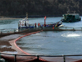 The University of Stirling's sustainable aquaculture studies programs explore governance, resource efficiency, environmental resilience and societal impacts, to name a few.
