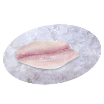 finfish