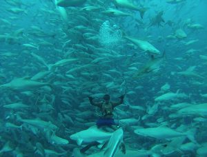 Aquaculture Exchange: Daniel Benetti