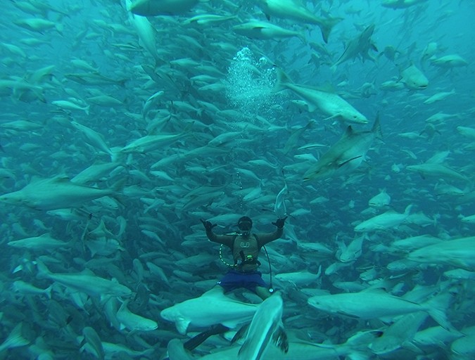 Aquaculture