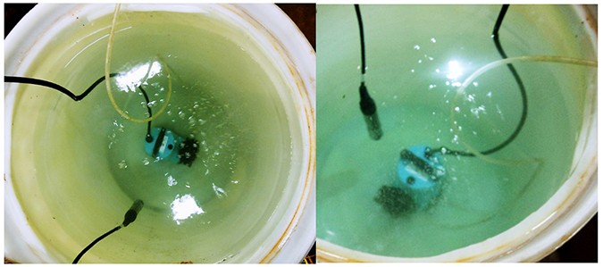 Generation of micro-nanobubbles during the experiment.