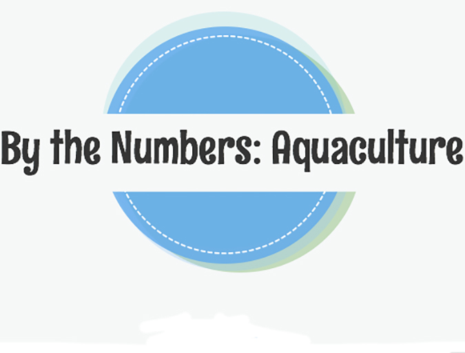 Article image for Infographic: Aquaculture by the Numbers