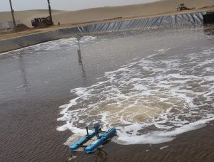 Shrimp biofloc production trials in Saudi Arabia