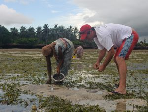 Social oysters: Aquaculture inspiring communities