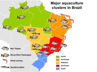 Brasil