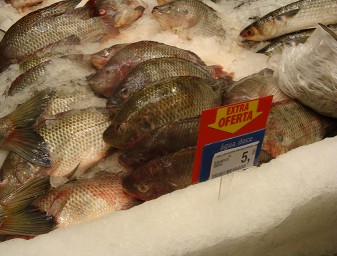 Brasileña