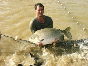 Brazilian aquaculture: Constraints and challenges (Part 1)