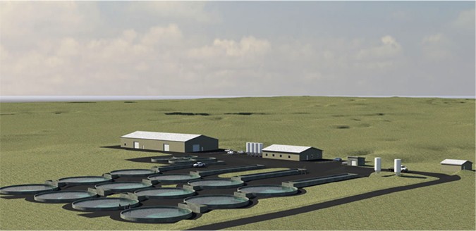 geothermal aquaculture