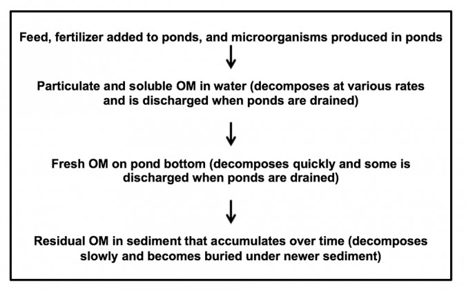 organic matter