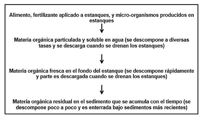 Fig. 1: El destino de los aportes de materia orgánica a estanques.