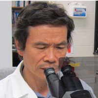  De-Hai Xu, Ph.D.